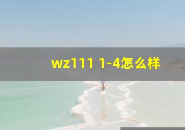 wz111 1-4怎么样